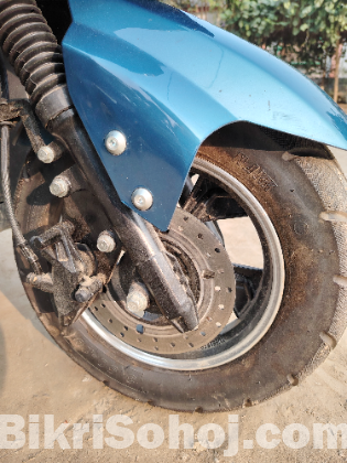 Shadow, Wolf- 3, 2025